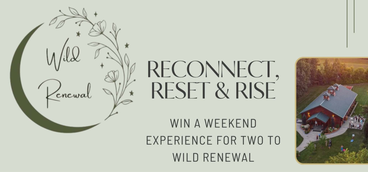 Reconnect, Reset, and Rise with Wild Renewal